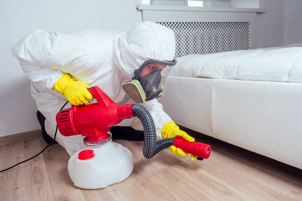 Best Affordable Pest Control Services  in Savoy, IL