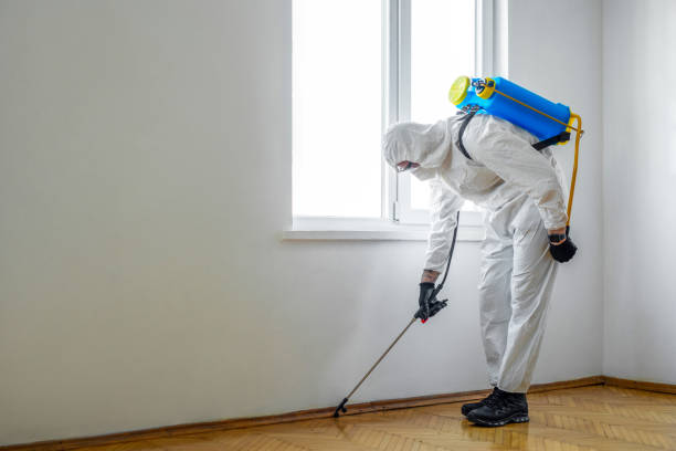 Best Mosquito Control Services  in Savoy, IL