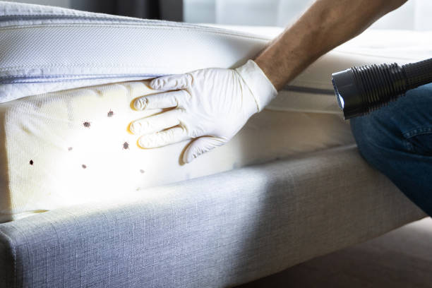 Best Best Pest Control Companies  in Savoy, IL