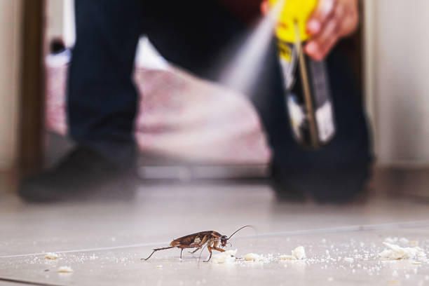 Pest Prevention Services in Savoy, IL