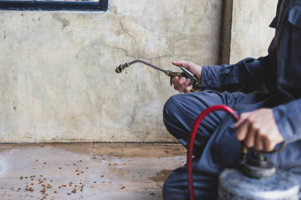 Best Flea Control Services  in Savoy, IL