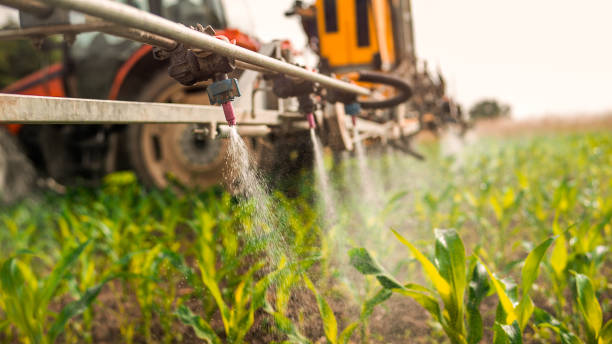 Best Pest Control Near Me  in Savoy, IL