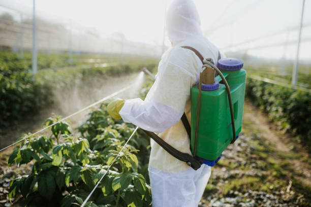 Best Affordable Pest Control Services  in Savoy, IL
